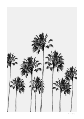 Black & White Palm Trees Finesse #1 #tropical #wall #decor