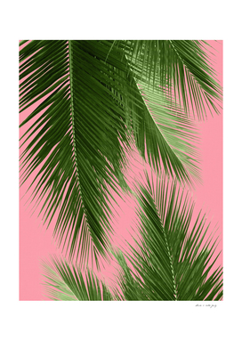Palm Leaves Vibes #1 #tropical #wall #decor #art