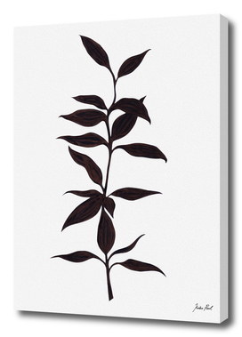 Bamboo ink painting, plant, nature illustration