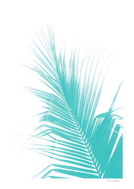 Palm Leaf Soft Turquoise Delight #1 #tropical #wall #decor