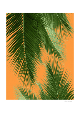 Palm Leaves Vibes #3 #tropical #wall #decor #art
