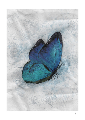 Butterfly - Blue