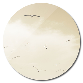Minimal coastal pastel beige sky seagulls