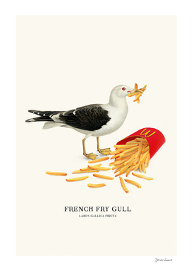 French Fry Gull