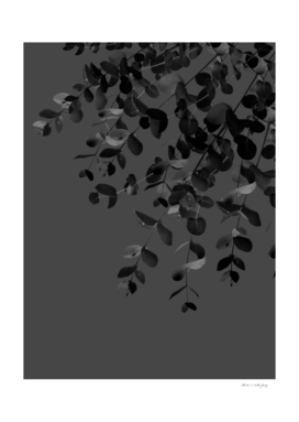 Eucalyptus Charcoal Noir Delight #1 #foliage #decor #art