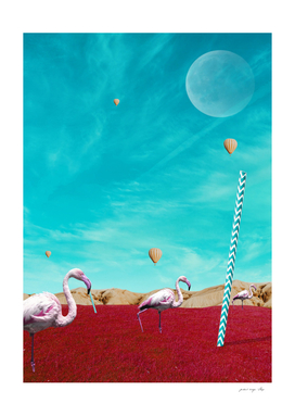 Surrealistic Animals - The Flamingo