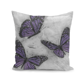 purple-butterfly