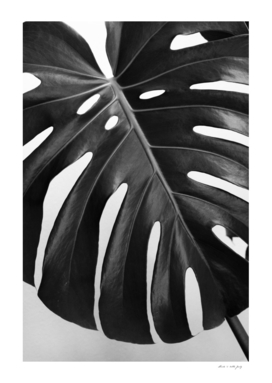 Monstera Leaf #3 #minimal #tropical #wall #art
