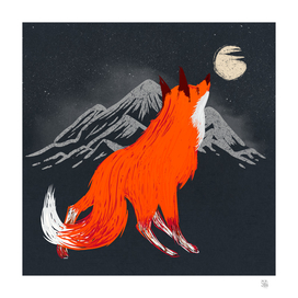 Fox and Moon