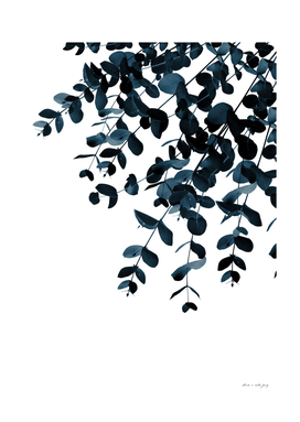 Eucalyptus Blue Delight #1 #foliage #decor #art
