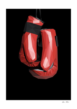 BOXING GLOVES 1