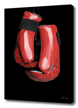 BOXING GLOVES 1