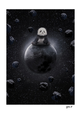 Baby Panda on the Moon