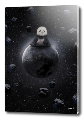 Baby Panda on the Moon