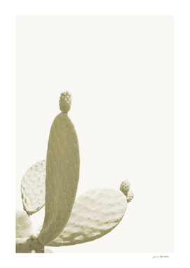 Minimalist modern sage green cactus