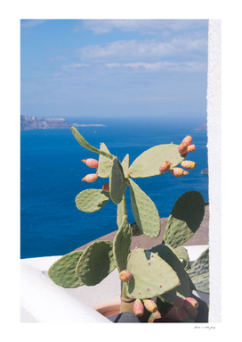 Santorini Cacti Dream #1 #minimal #wall #decor #art