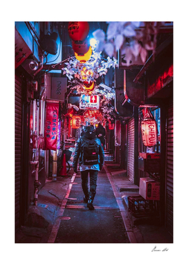 Japan Photographic Street City