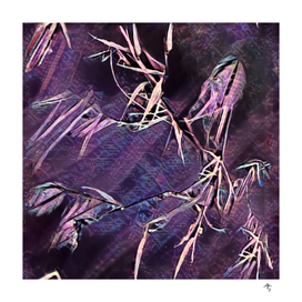 cobwebs, blades grass, purple, night, grass