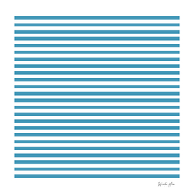 Boston Blue Small Horizontal Stripes | Interior Design