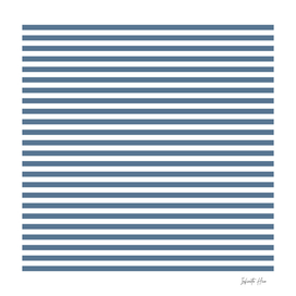 Kashmir Blue Small Horizontal Stripes | Interior Design