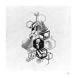 Hexagon Ferns Tattoo