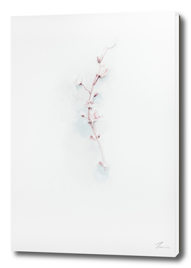 plum flower-watercolor