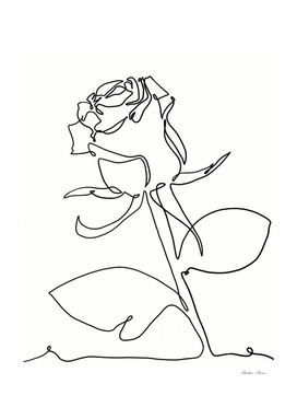 Rose flower plant one line art