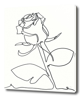 Rose flower plant one line art