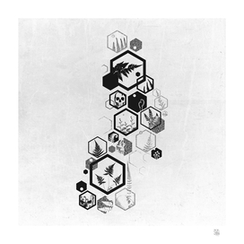 Hexagon Fern Ink
