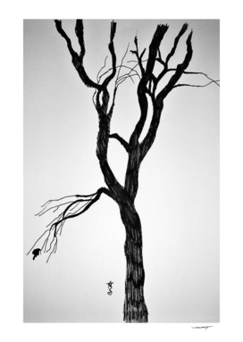 Dried Tree