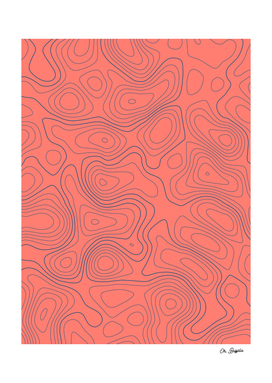 Topographic Map 01 - Coral