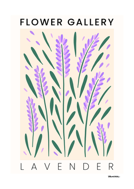 Lavender - Happy Flowers