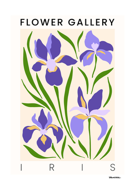 Iris - Happy Flowers