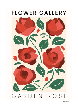 Garden Rose - Happy Flowers