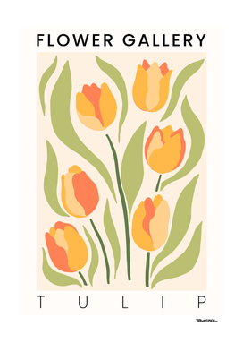 Tulip - Happy Flowers