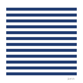 Blue Medium Horizontal Stripes | Interior Design