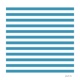 Boston Blue Medium Horizontal Stripes | Interior Design