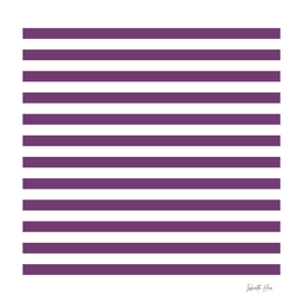Eminence Medium Horizontal Stripes | Interior Design