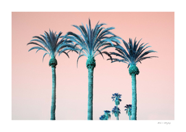 Summer Palm Trees Dream #1 #tropical #wall #art