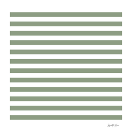 Drive-thru Safari Medium Horizontal Stripes | Design