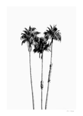 Palm Trees Black & White Vibes #7 #wall #decor #art