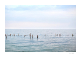 Bamboo post in the sea