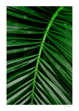 Green leaves pattern