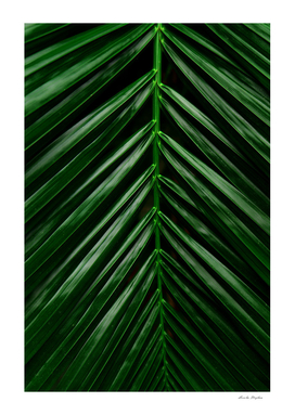 Green leaves pattern