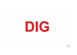 American slang for prints DIG