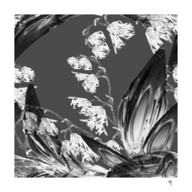 lily valley, black, white