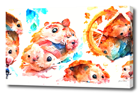 Summer hamsters