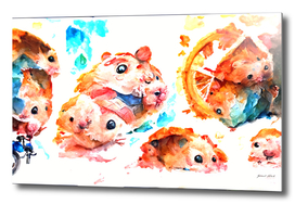 Summer hamsters