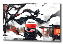 The lil ninja