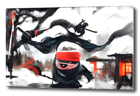 The lil ninja